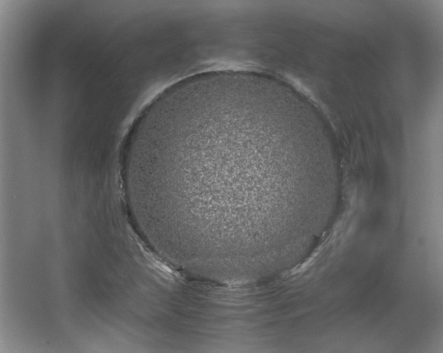 X0000066001215200603061315