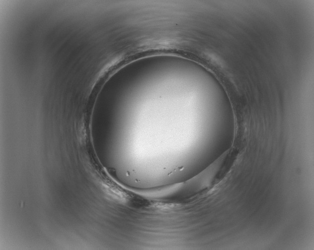 X0000066001218200603061315