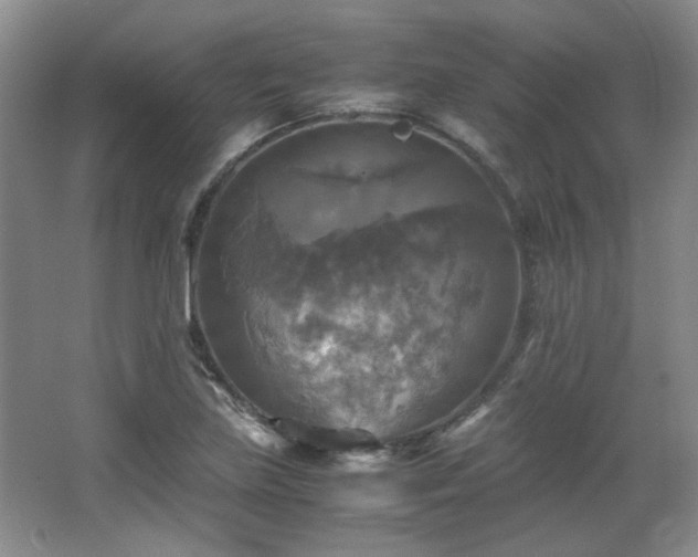 X0000066001219200603061315