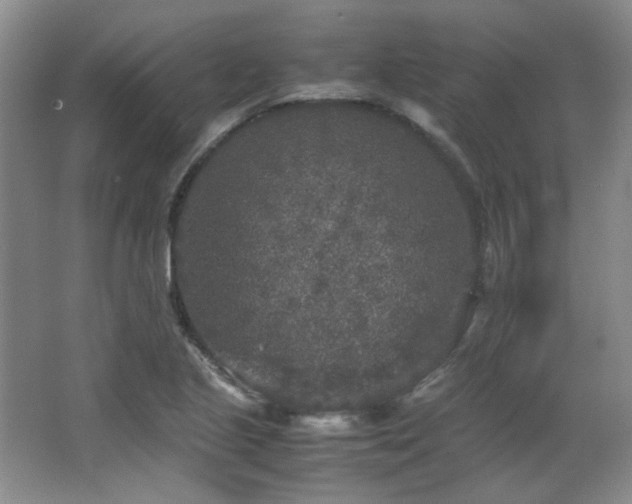 X0000066001221200603061315