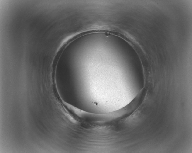 X0000066001222200603061315