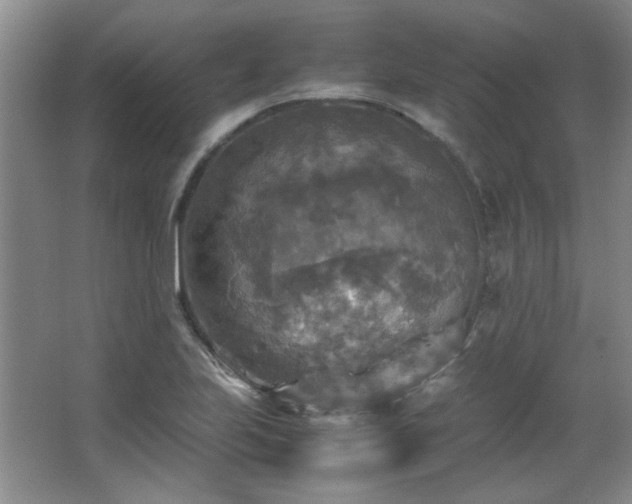 X0000066001223200603061315