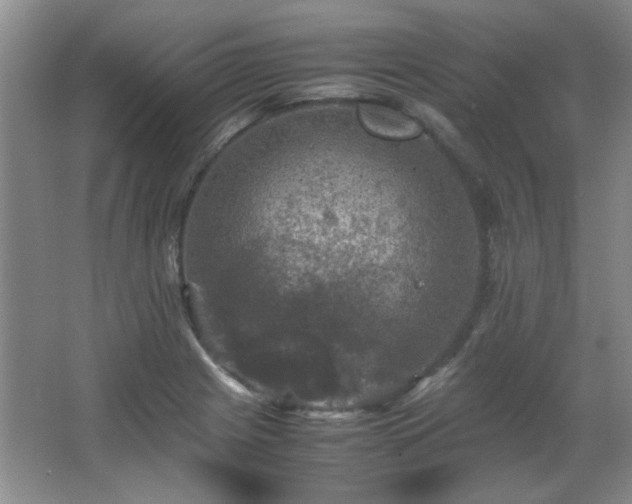 X0000066001225200603061315