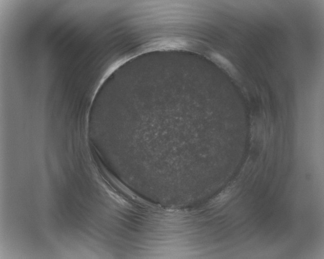 X0000066001226200603061315