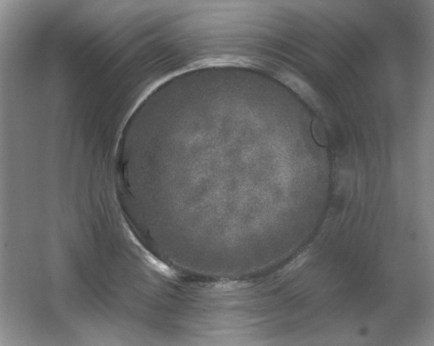 X0000066001228200603061315