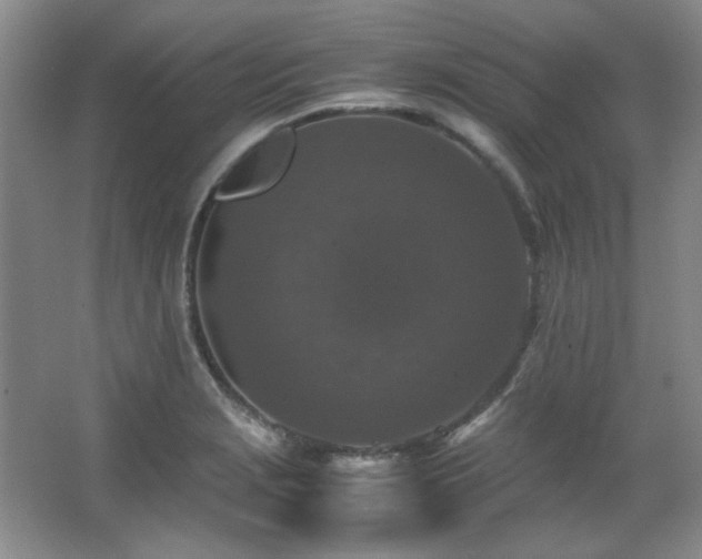 X0000066001229200603061315