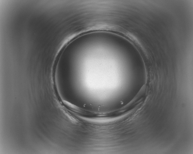 X0000066001230200603061315