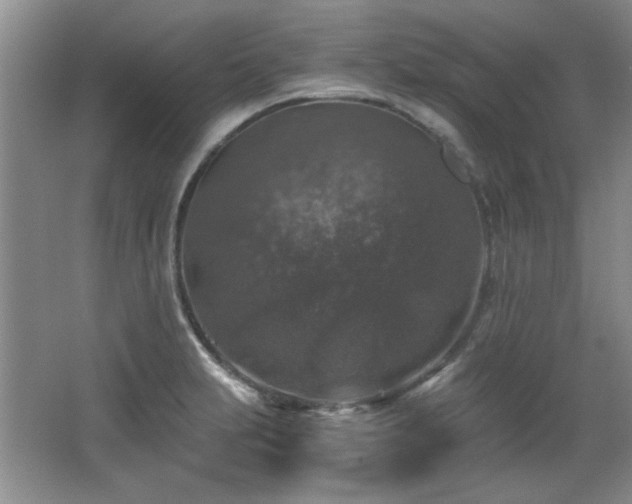 X0000066001231200603061315