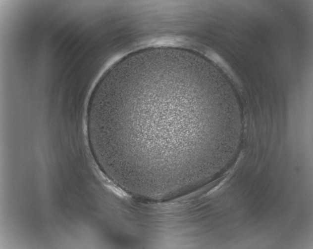 X0000066001232200603061315