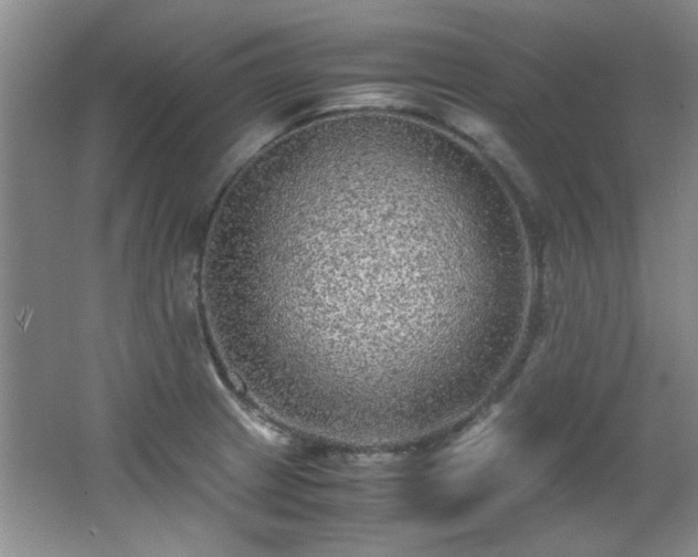 X0000066001233200603061315