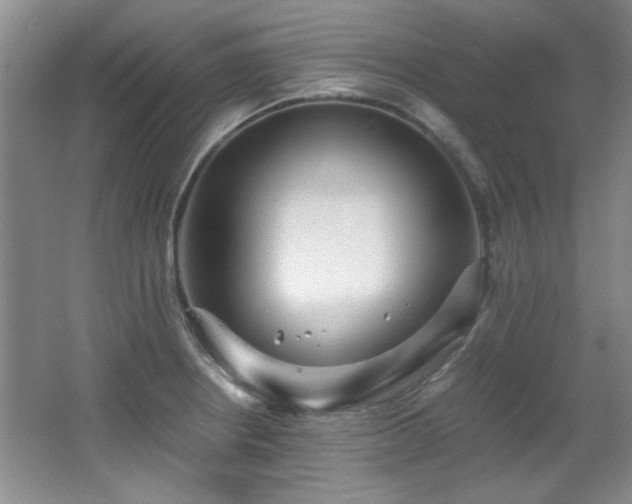 X0000066001234200603061315