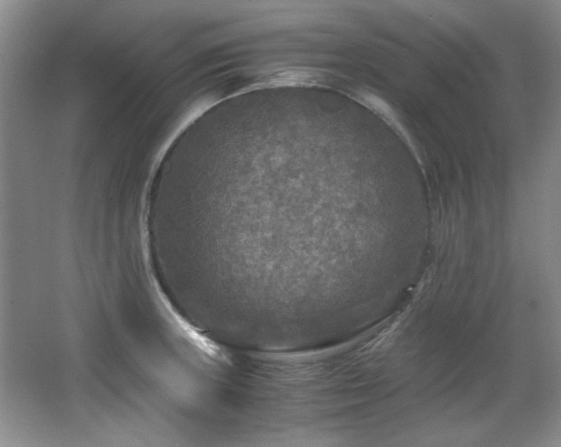 X0000066001235200603061315