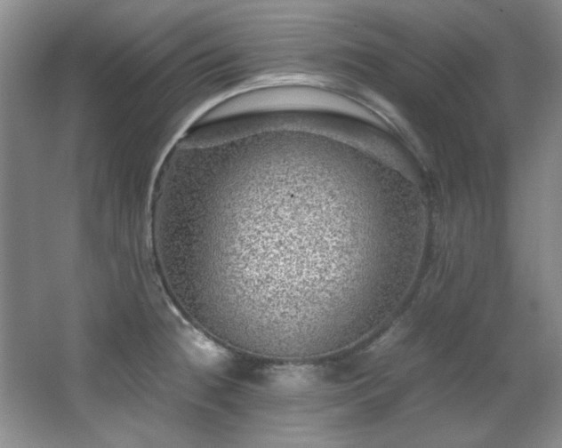 X0000066001236200603061315