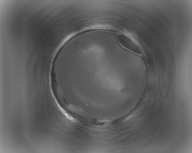 X0000066001237200603061315