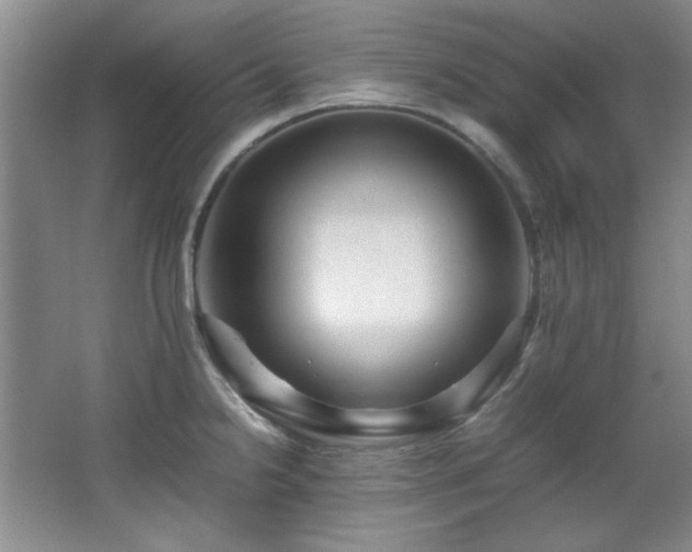 X0000066001238200603061315