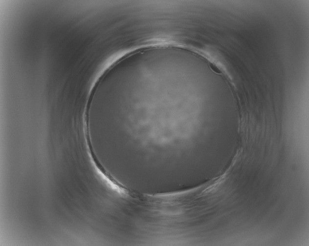 X0000066001239200603061315