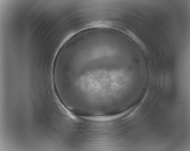 X0000066001240200603061315