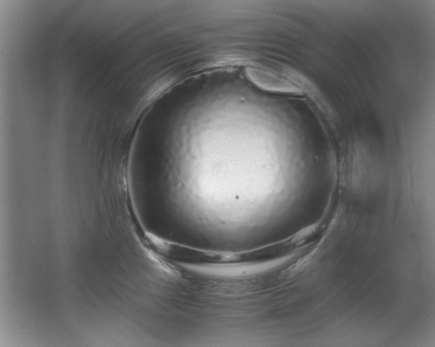 X0000066001241200603061315