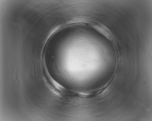 X0000066001242200603061315