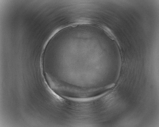 X0000066001243200603061315