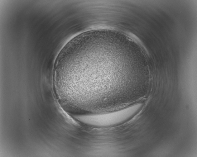 X0000066001244200603061315