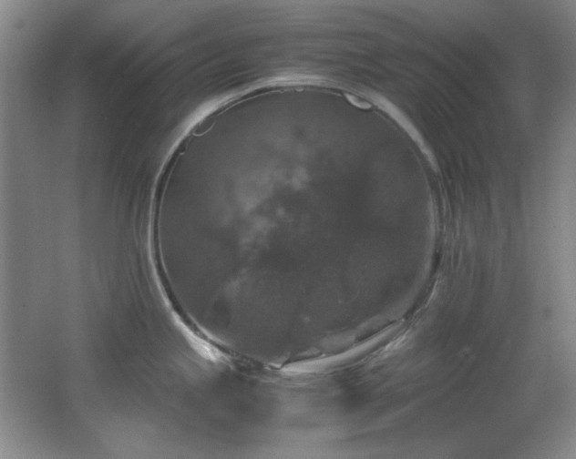 X0000066001245200603061315