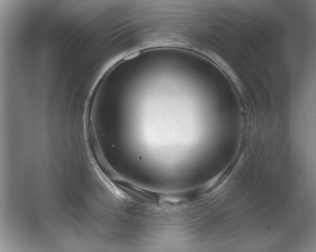 X0000066001246200603061315