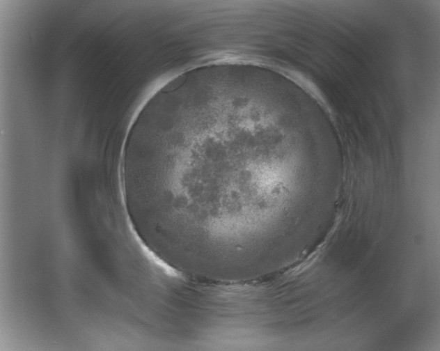 X0000066001247200603061315