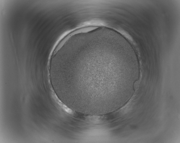 X0000066001248200603061315