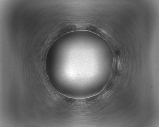 X0000066001249200603061314