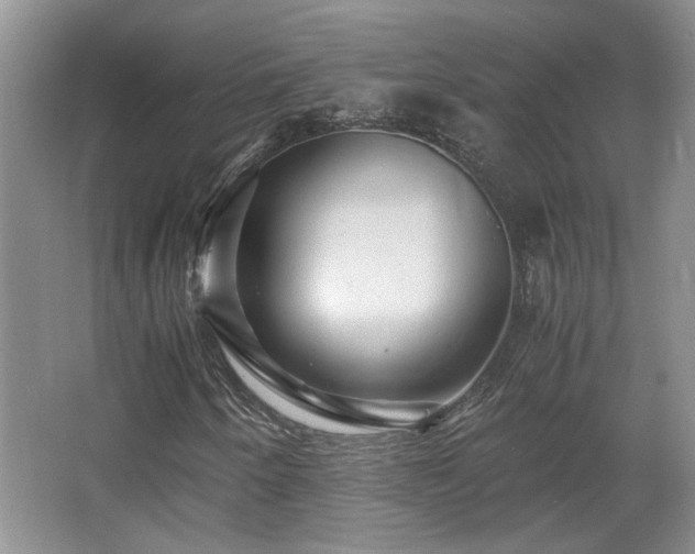 X0000066001250200603061314