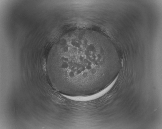 X0000066001251200603061314