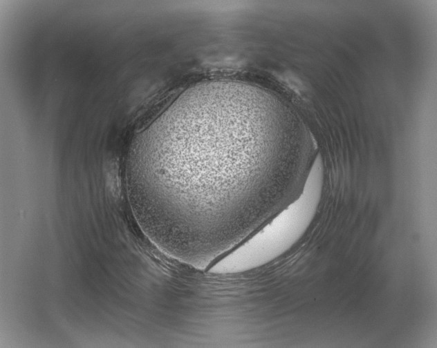 X0000066001252200603061314