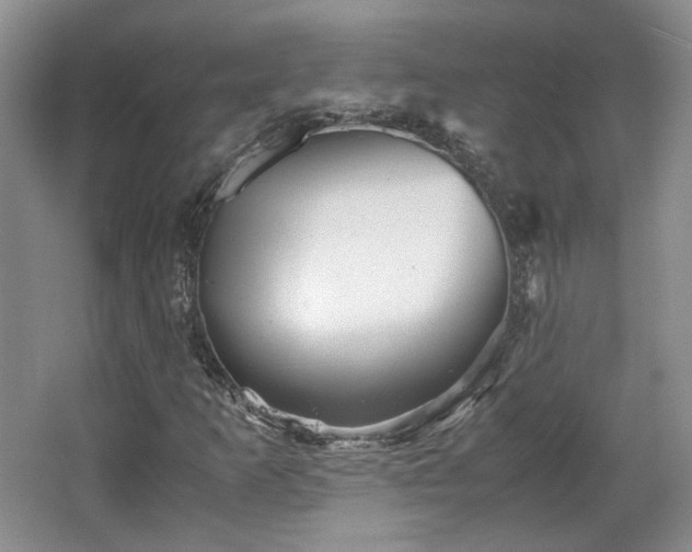 X0000066001253200603061314