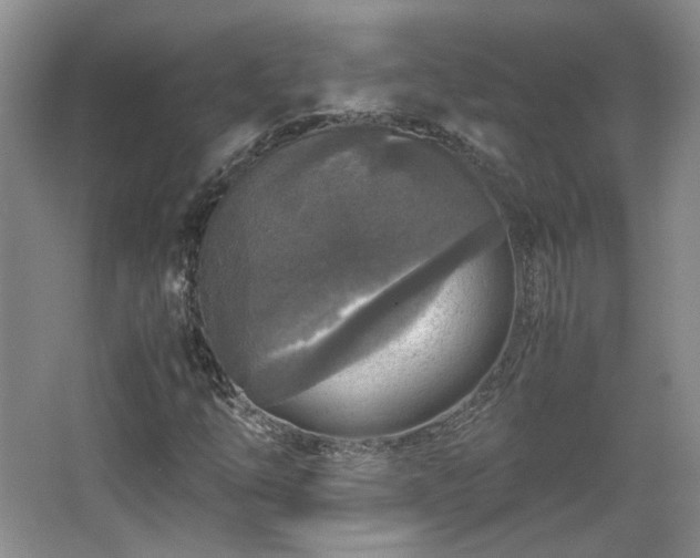 X0000066001254200603061314