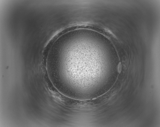 X0000066001256200603061314