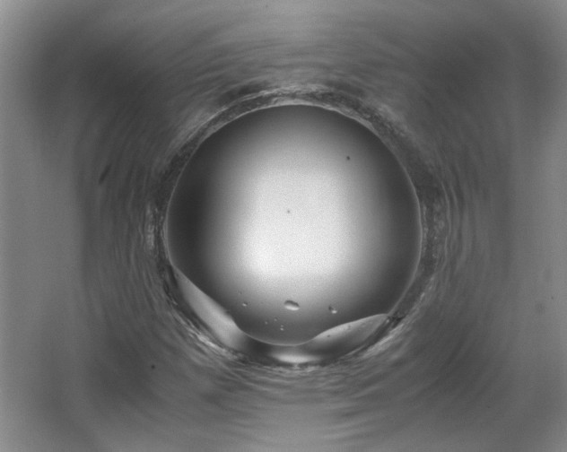 X0000066001257200603061314