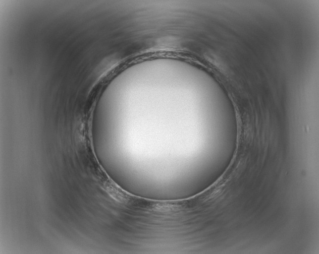 X0000066001258200603061314