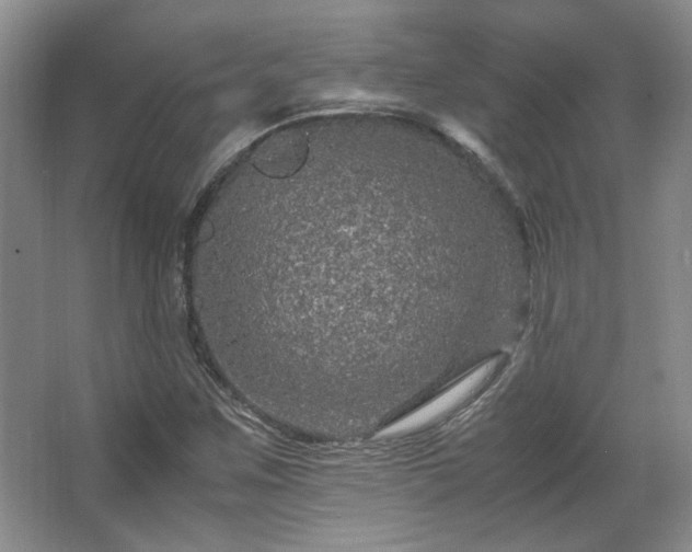 X0000066001259200603061314