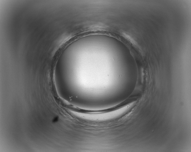 X0000066001261200603061314