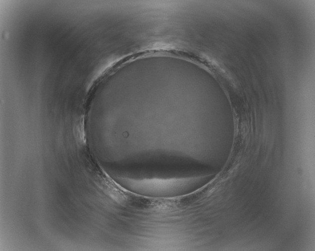 X0000066001262200603061314