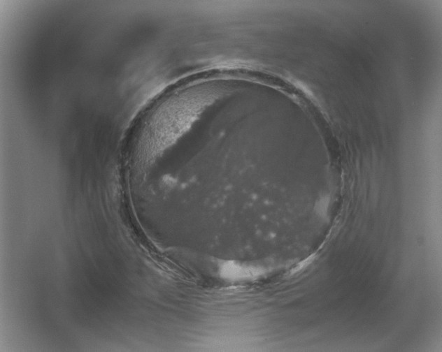 X0000066001263200603061314