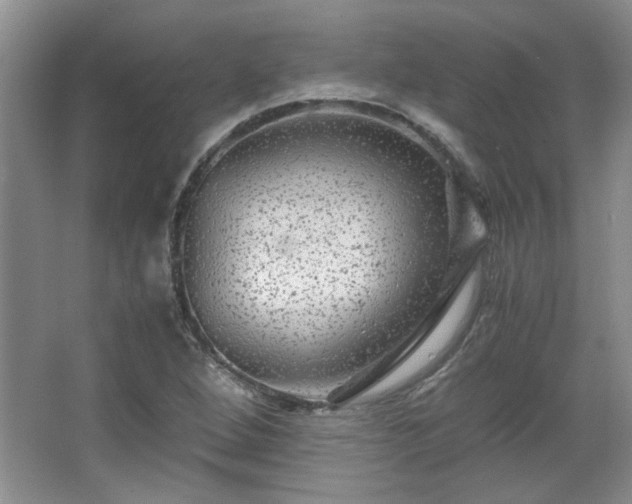 X0000066001264200603061314