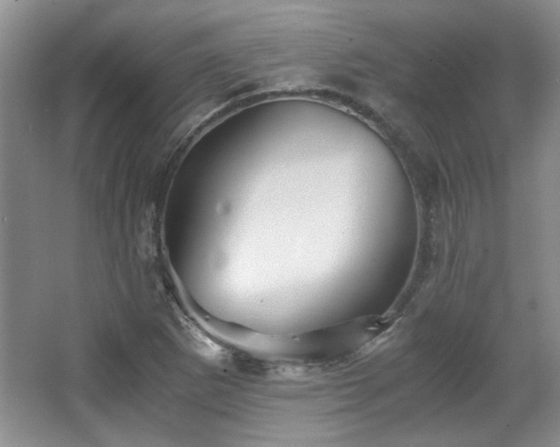 X0000066001265200603061314