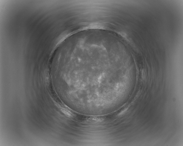 X0000066001266200603061314