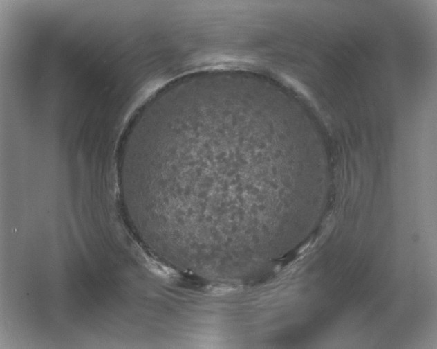 X0000066001267200603061314