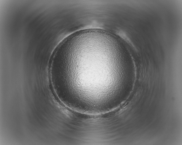 X0000066001268200603061314