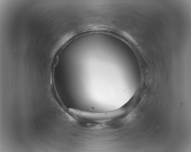 X0000066001269200603061314