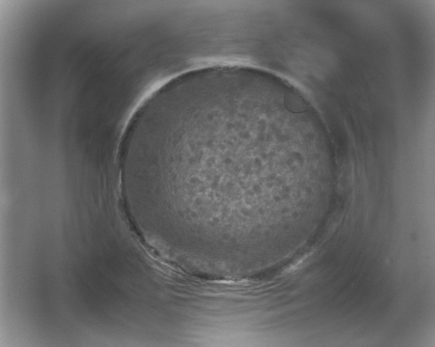 X0000066001271200603061314