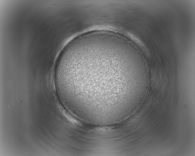 X0000066001272200603061314